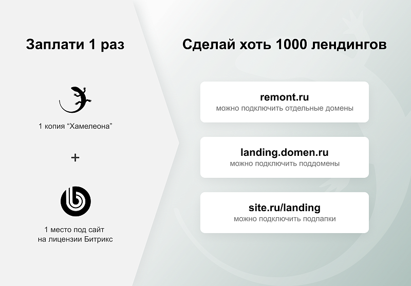 ХАМЕЛЕОН — 999 в 1. Безлимитный конструктор лендингов с корзиной и функциями для «автоворонок»
