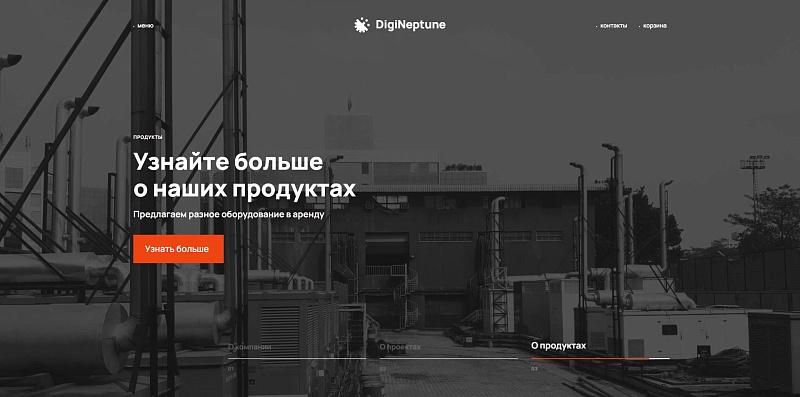 Имиджевый промо-сайт DIGINEPTUNE